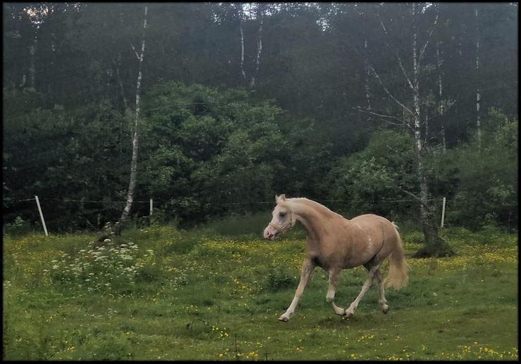 Summer är på sommarkollo hos Emma♥